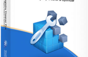 Wise Registry Cleaner Pro